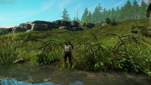 Read more about the article How to find briar branches in New World