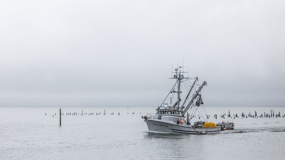 You are currently viewing Potential Impacts of Reopening of the Trawl Rockfish Conservation Area